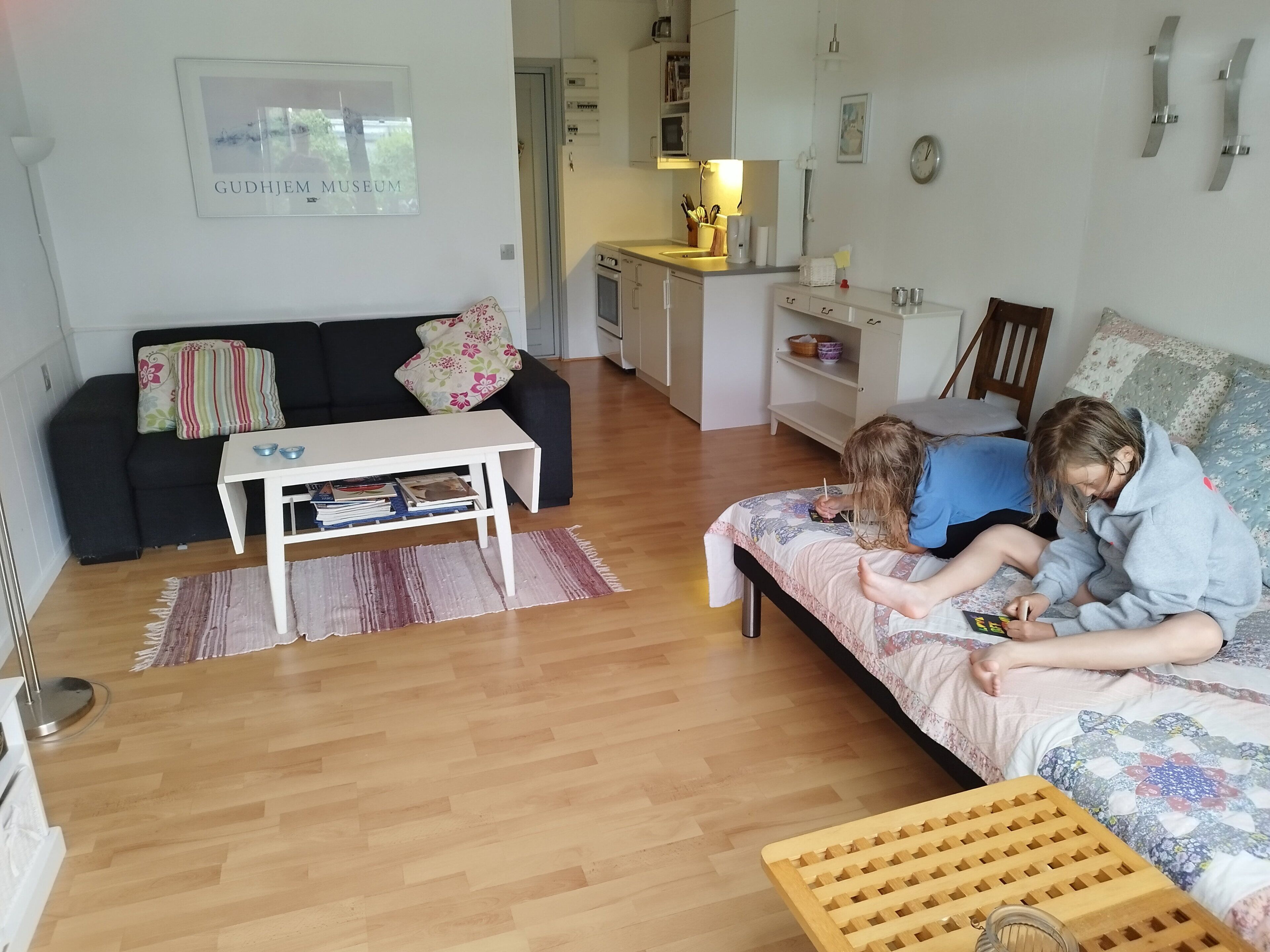 TV, DVD player, table tennis