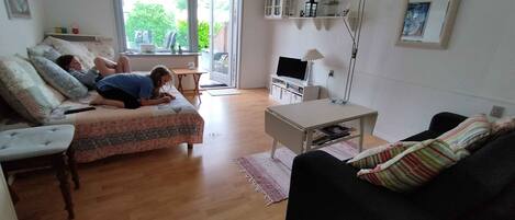 DVD player, table tennis