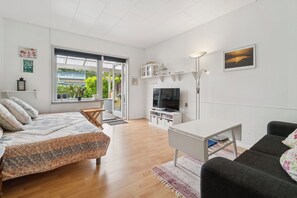 TV, DVD player, table tennis