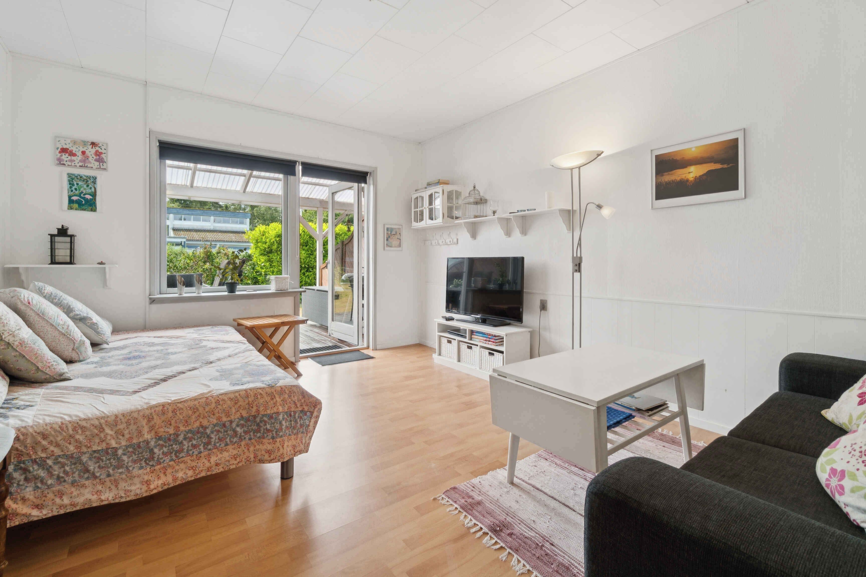 DVD player, table tennis