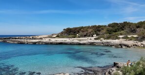 Beach nearby - Apartment 'A Casa Di Palma - 1' with Private Terrace, Wi-Fi and Air Conditioning (marina di pulsano)