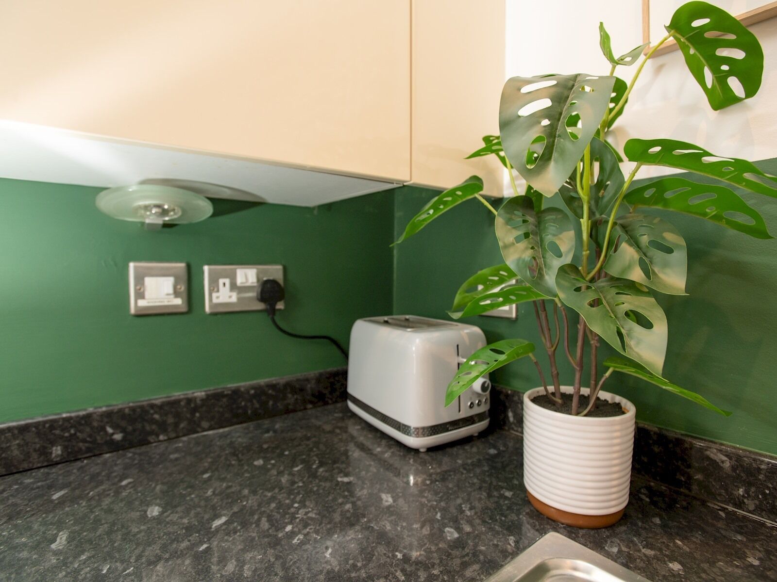 Una cocina con un tostador, un enchufe y una planta de monstera en maceta.