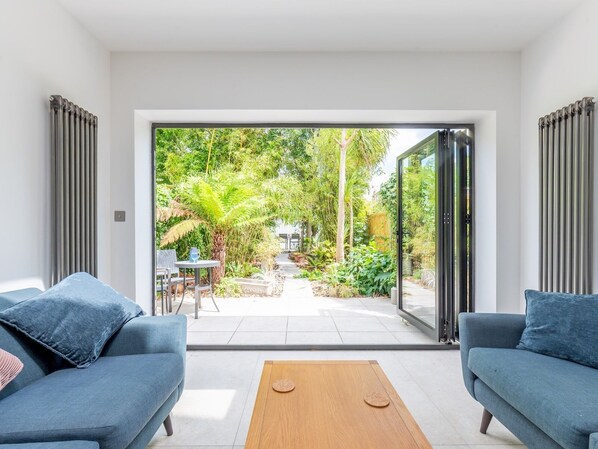 تلفزيون، كُتُب