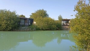A lakeside property with two cabins surrounded by dense greenery.