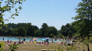 A park with a swimming pool, people sunbathing, and trees.