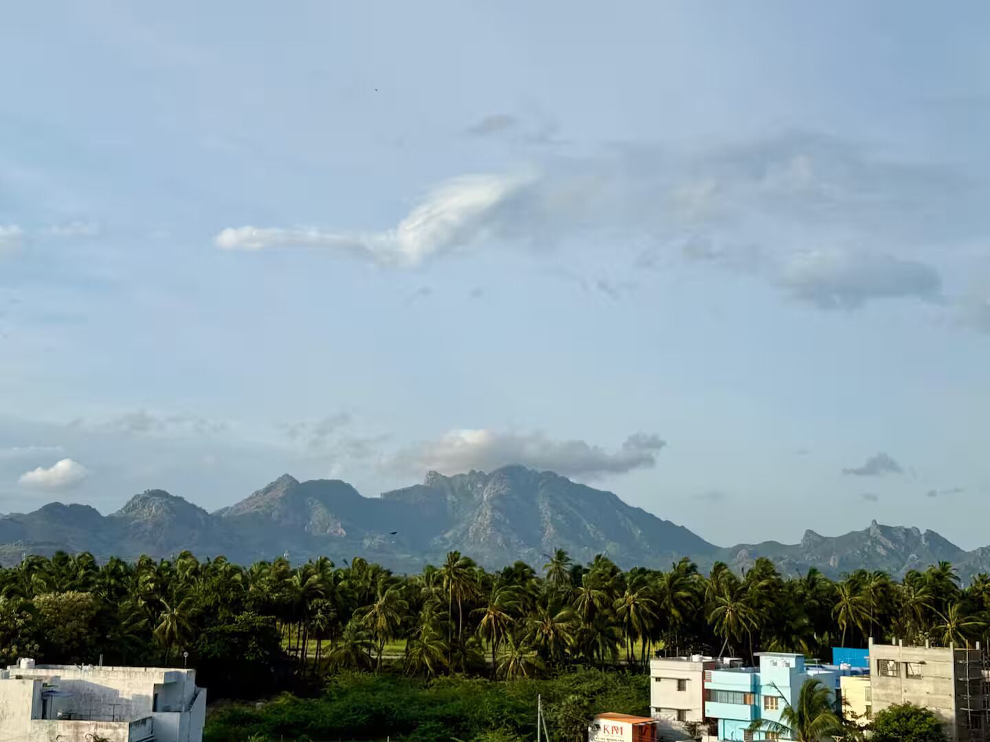 A residential area with a mountain range in the background, palm trees, and a clear sky.