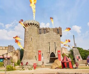 Imagen sin descripción, 3 de 14, botón