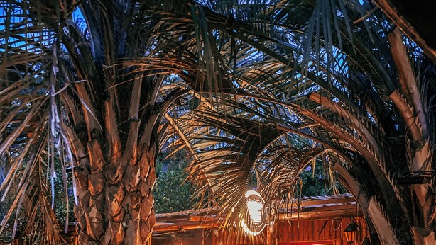Un espace de restauration en plein air, avec des tables et des chaises en bois, entouré de palmiers et agrémenté d’une structure en bois rustique, ornée de luminaires suspendus.