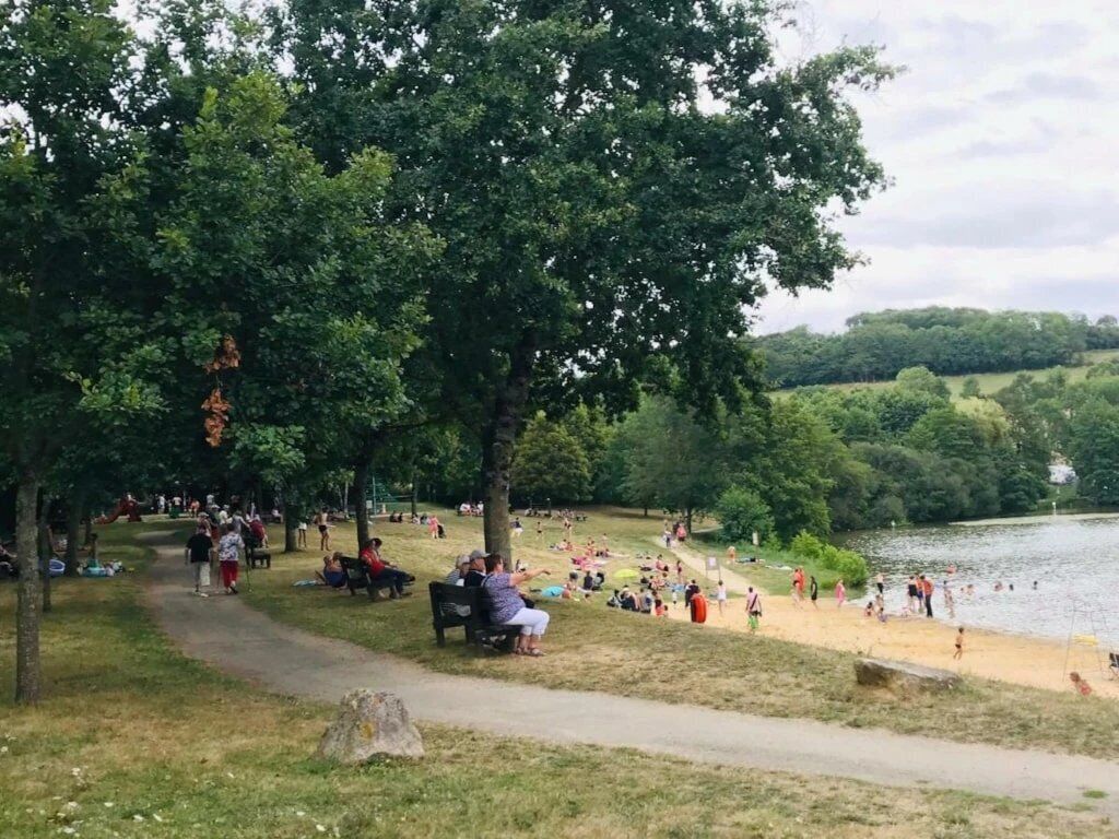 Een park met een wandelpad, banken en een meer.