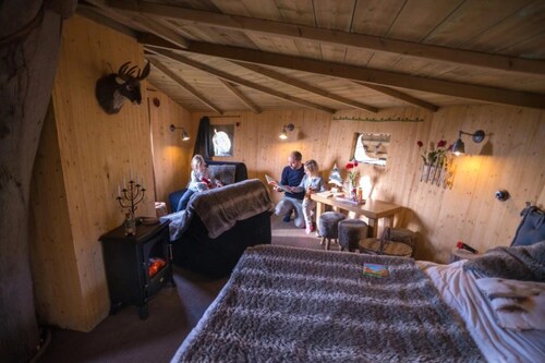 Cabane 3 étoiles - Piscine  - ccbbifi