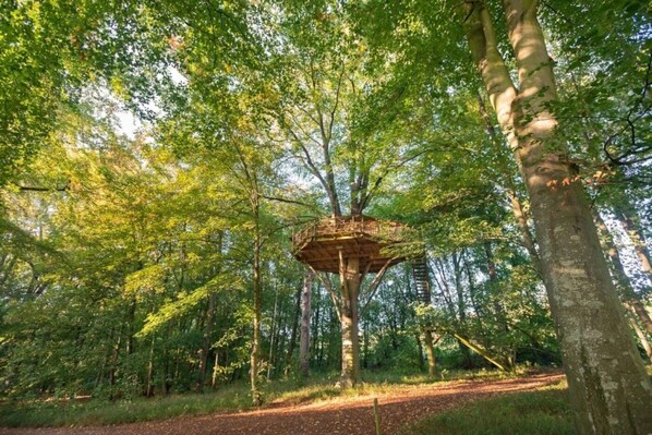 Unclassified image, 1 of 25, button