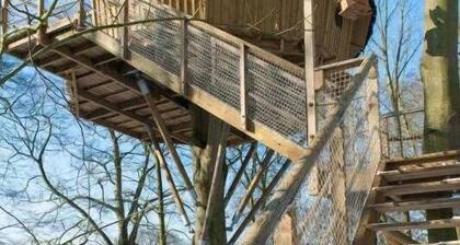 Cabane 3 étoiles - Piscine - ccbbifi