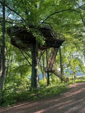 Una estructura tipo casa en un árbol con una escalera, rodeada de abundante follaje verde.