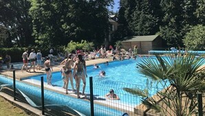 Una piscina rodeada de árboles y un edificio.