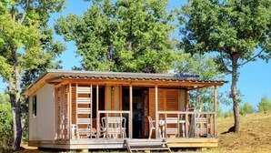 Eine kleine Holzhütte mit Veranda, umgeben von Bäumen.