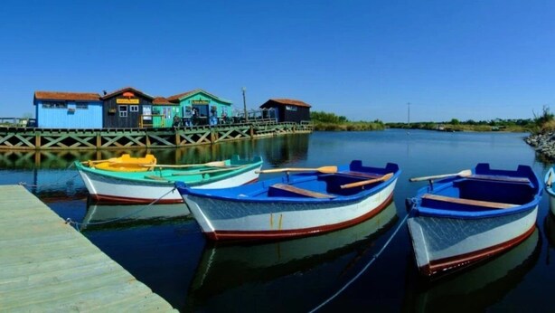 A calm waterfront with several small boats docked at a wooden pier.
