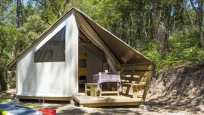 A small, single-room cabin with a pitched roof, a table, and a bench outside. - ZEcamping 4 étoiles piscine chauffée animations fitness locatif 17m2 (Saint-Trojan-les-Bains)