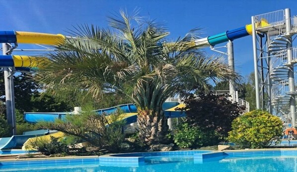 A pool area with water slides and palm trees.