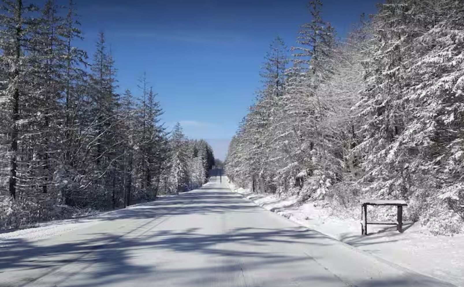 Een met sneeuw bedekte weg, omzoomd door bomen, die in de verte leidt.