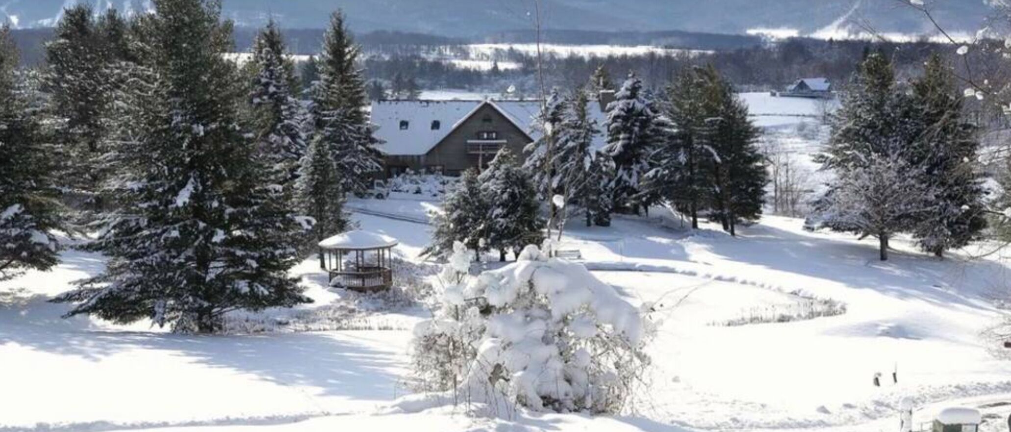 Un paisaje nevado con una cabaña de madera, árboles cubiertos de nieve y un pabellón.