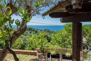 Property grounds - Lemon Green Apartment (Celle Ligure)