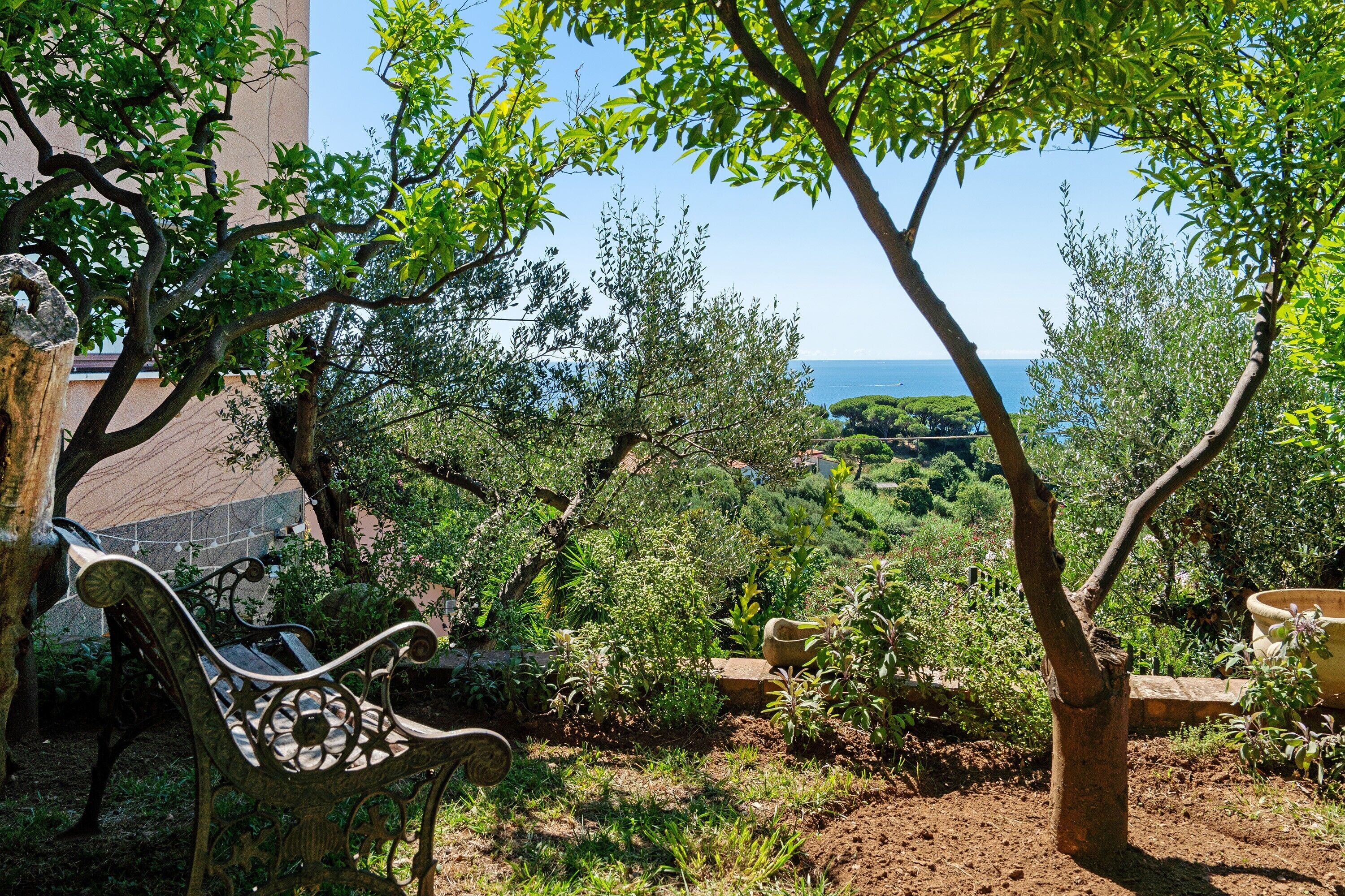 Parco della struttura