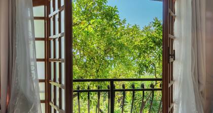 Appartement Lemon Green