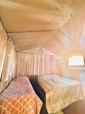WiFi, bed sheets