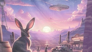 A rabbit in a desert landscape with a sunset, cacti, and a vintage car. - Alien Acres UFO campground,  car, truck, RV, tent off-grid camping (Sunvalley)