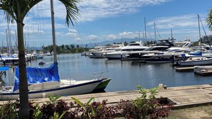 Un port de plaisance avec des bateaux amarrés, des palmiers et un ciel dégagé.