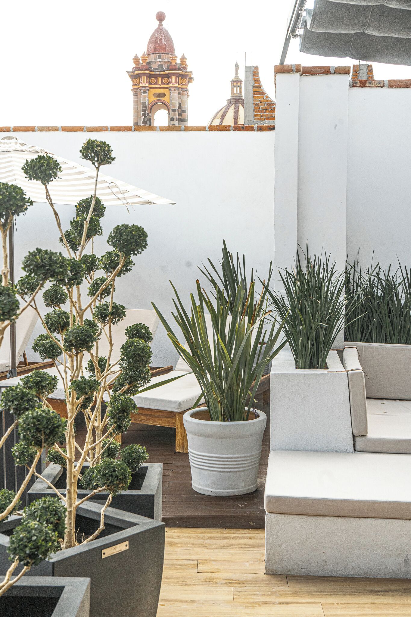 Una terraza en la azotea con plantas en macetas, un muro blanco y vistas a un edificio histórico al fondo.