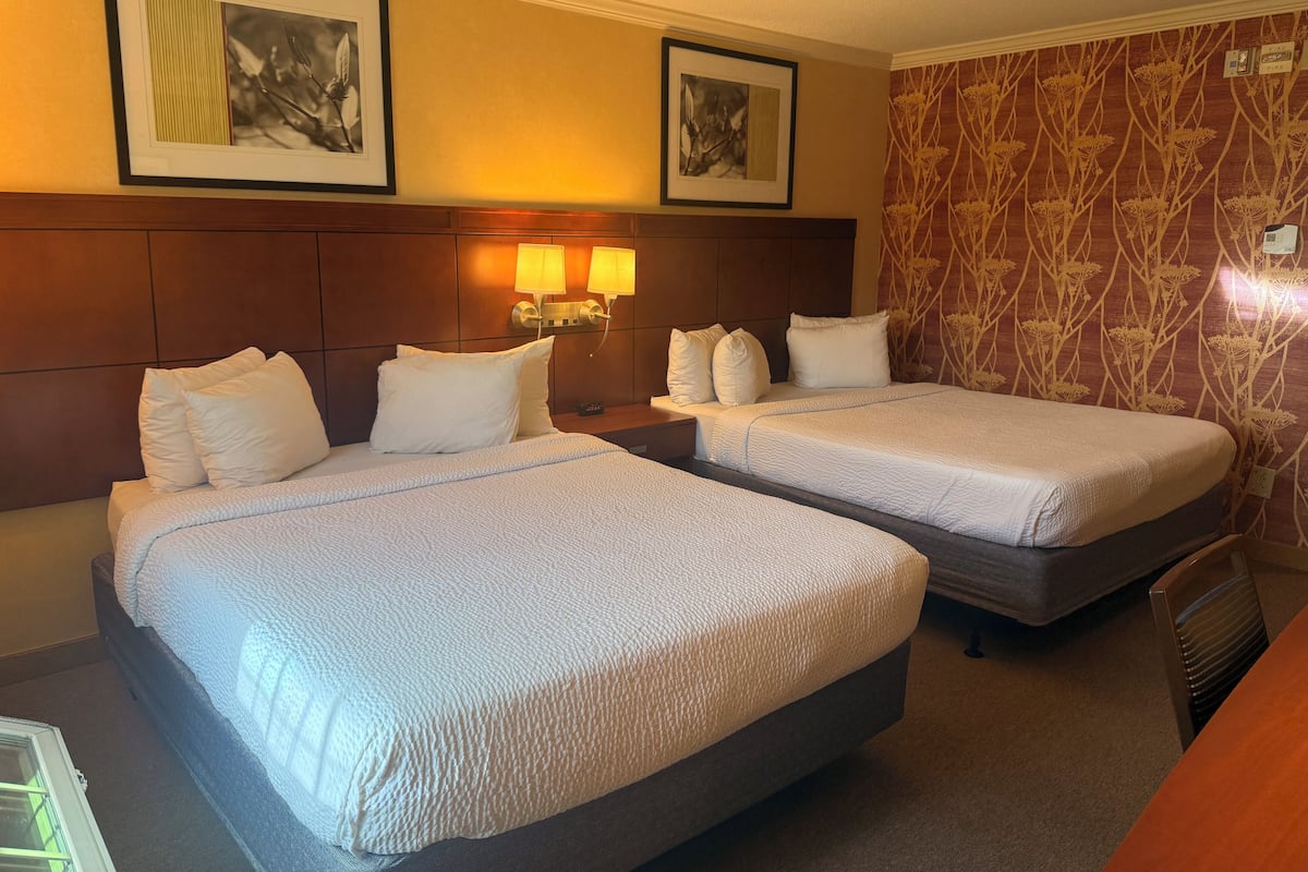 Deluxe Double or Twin Room