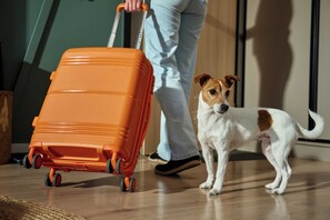 Pet-friendly - Hyatt Select Boston/Woburn/Burlington (Woburn)