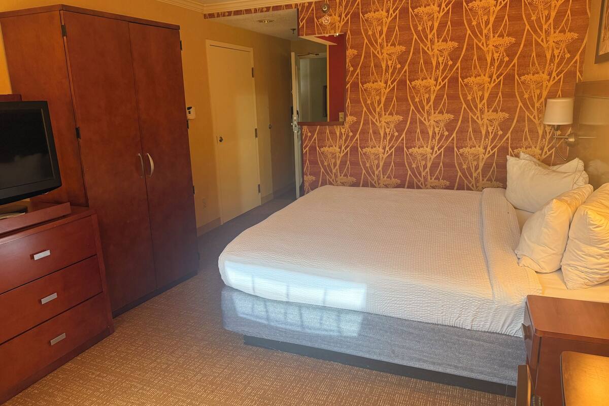 Deluxe Single Room | Desk, laptop workspace, iron/ironing board, free WiFi
