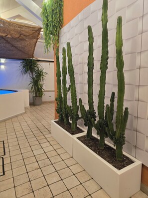 Interior - At 50m from the sea, the whirlpool the perfect complement to your relaxing vacation (Porto Sant'Elpidio)