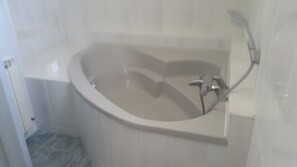 Shower, hair dryer