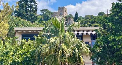 Charming 3 rooms of 50 m2 located in Hyères