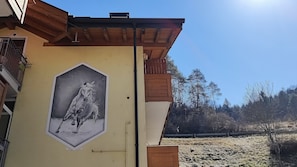 Exterior detail