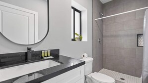 Une salle de bain moderne avec un lavabo sur un plan de toilette noir, des toilettes et un espace douche.