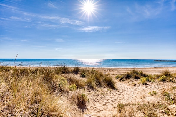 Une plage avec des dunes de sable et un ciel bleu dégagé.