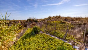 Un jardín con cerca de madera, un sendero y diversas plantas.
