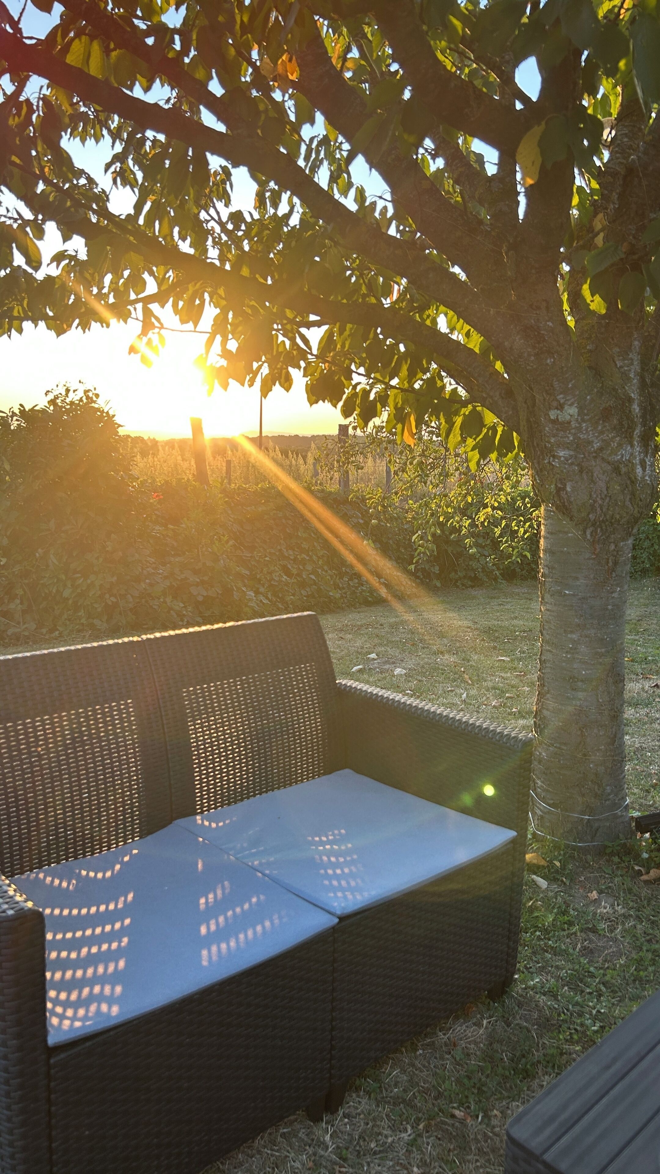 Parco della struttura