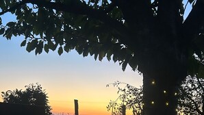 A patio with a table and chairs, a tree with string lights, and a sunset view.