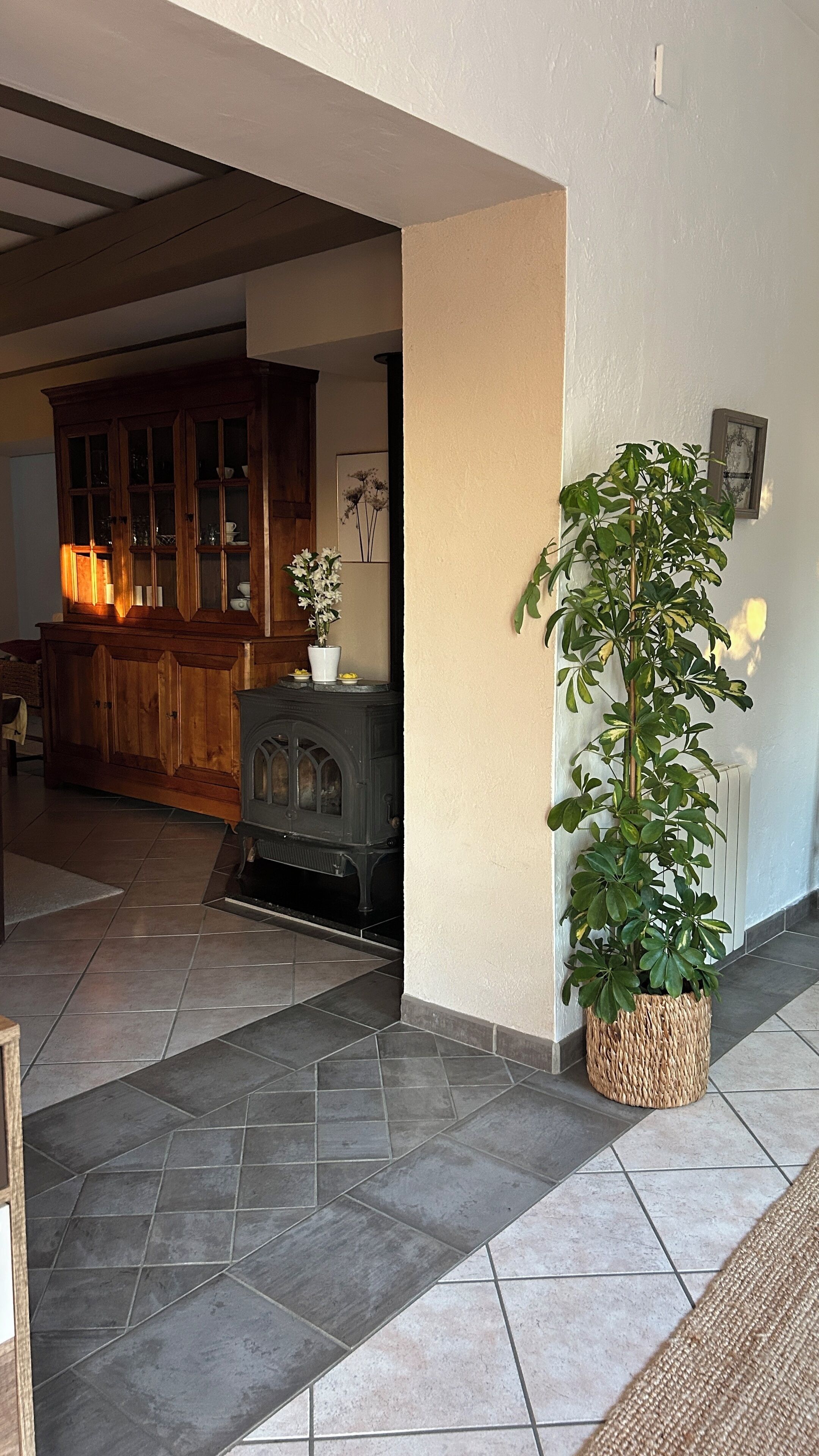 A living room with a fireplace, a large potted plant, and a kitchen area in the background.