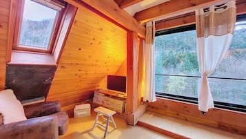 Flat-screen TV, fireplace