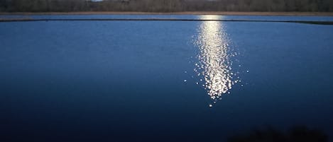 A calm body of water reflecting a bright moon.