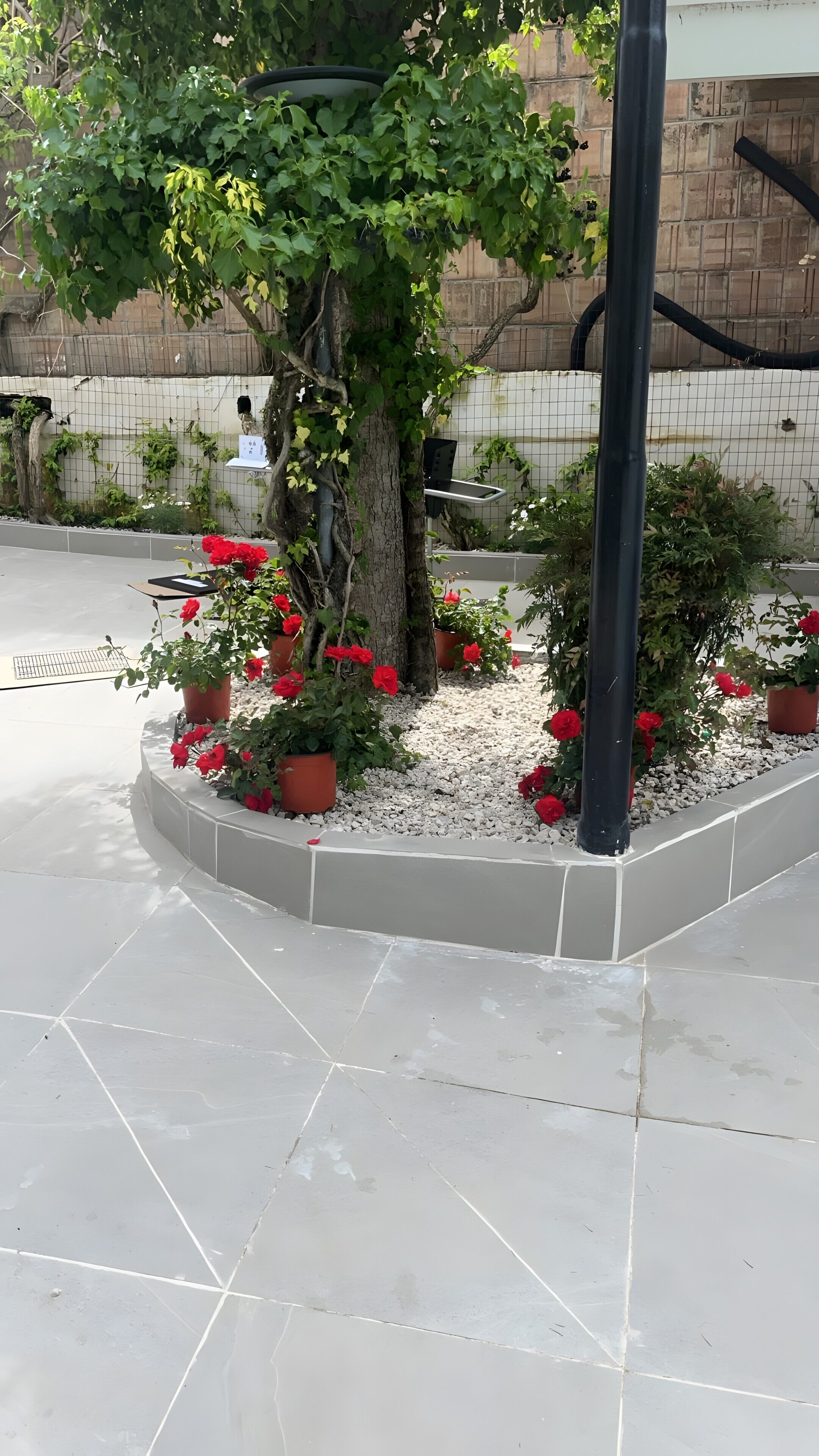 Enceinte de l’hébergement