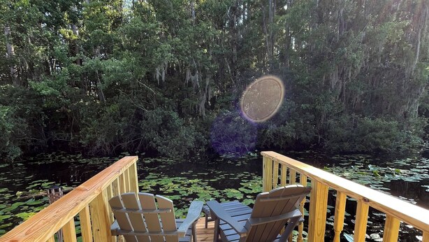 A wooden deck with Adirondack chairs and a table, surrounded by dense forest and a pond with lily pads.