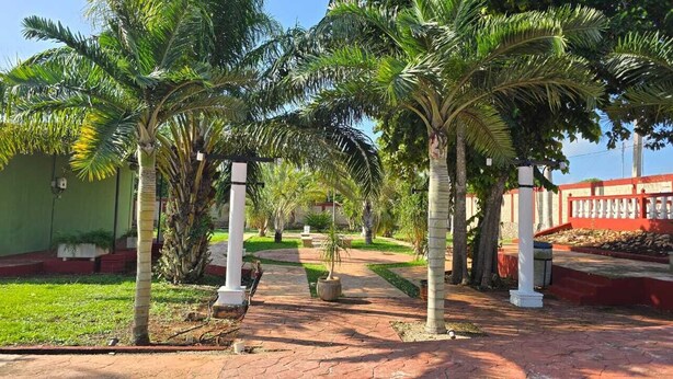 Pemandangan taman