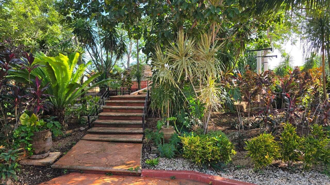 Foto - Hotel Real Zaci